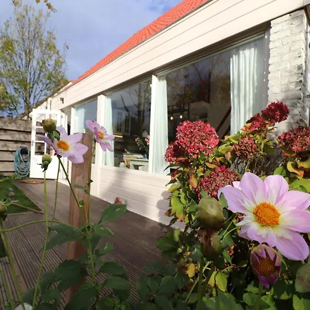 Beautifully Renovated House In